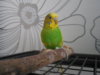 DSCN9511.JPG