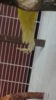 tmp_31249-Screenshot_2017-02-03-16-07-14-517676056.png
