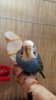 IMG_20170203_183631_760.jpg