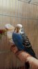 IMG_20170203_183504_416.jpg