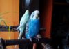 IMG_20170204_093138_613.jpg