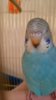 IMG-20170205-WA0009.jpg