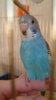 IMG-20170205-WA0006.jpg