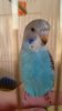 IMG-20170205-WA0004.jpg