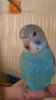 IMG-20170205-WA0001.jpg