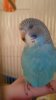 IMG-20170205-WA0003.jpg