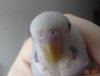 DSC01120.JPG