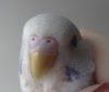 DSC01121.JPG