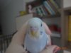 DSC01123.JPG