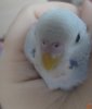 DSC01126.JPG