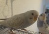 DSC01128.JPG