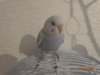 DSC01129.JPG