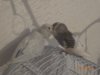 DSC01134.JPG