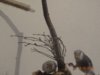 DSC01142.JPG