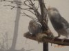 DSC01144.JPG