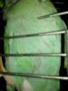 IMG_20170206_000455.jpg