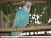 IMG_9347.JPG
