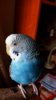 IMG_20170208_143049_250.jpg