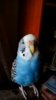 IMG_20170208_143144_175.jpg