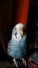 IMG_20170208_143341_272.jpg