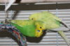 IMG_8720.JPG