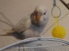 DSC01031.JPG