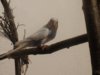 DSC01072.JPG