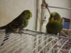 20170210_132709.jpg
