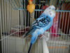 DSCN3353.JPG