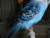 DSCN3357.JPG