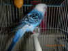 DSCN3359.JPG