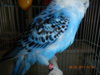 DSCN3360.JPG