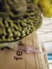 20170210_173526.jpg