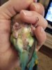 20170210_173246.jpg
