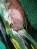 20170210_215518.jpg