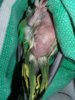 20170210_215617.jpg