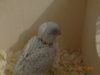 DSC00945.JPG