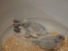 DSC00962.JPG