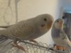 DSC01128.JPG