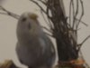 DSC01143.JPG