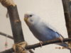 DSC01174.JPG