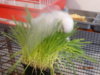 DSC01179.JPG