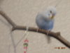 DSC01186.JPG