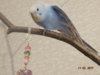 DSC01187.JPG