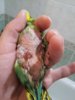 20170211_233513.jpg