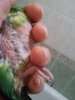 20170211_233449.jpg