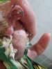 20170211_233433.jpg