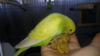upload_2017-2-12_21-43-46.png