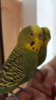 20170122_120103.jpg