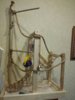 20170213_125524.jpg